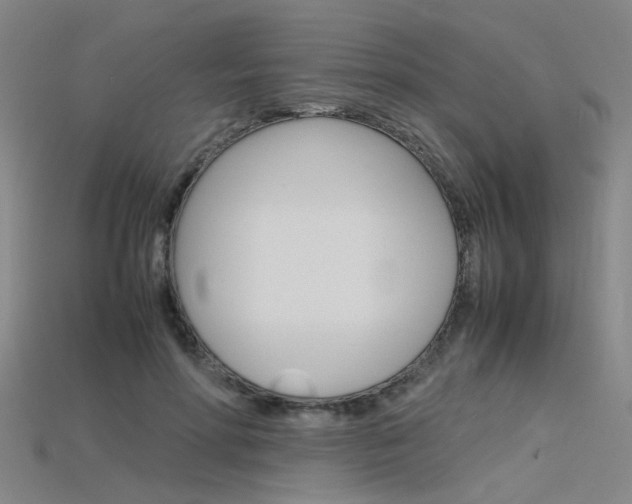 X0000115800598200911131024