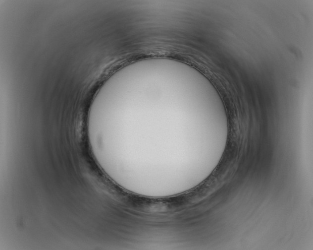 X0000115800600200911131024