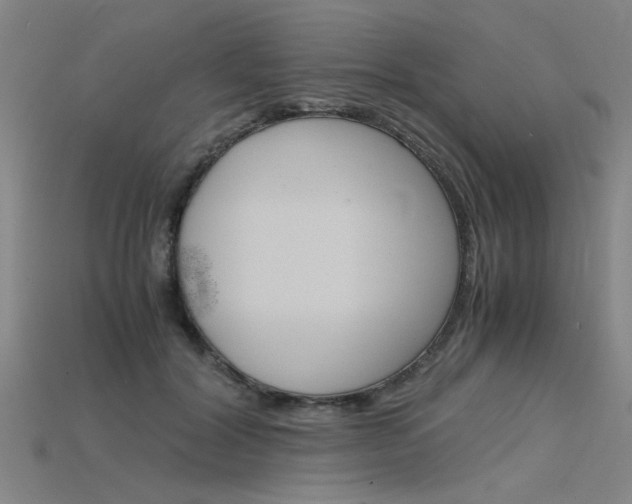 X0000115800604200911131024