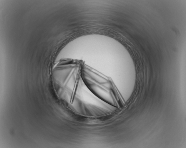 X0000115800605200911131024