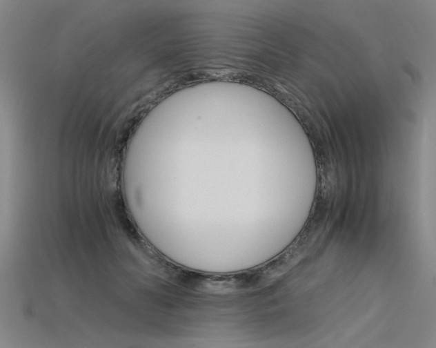 X0000115800606200911131024
