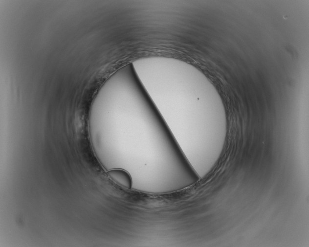 X0000115800608200911131024