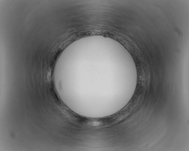 X0000115800610200911131024
