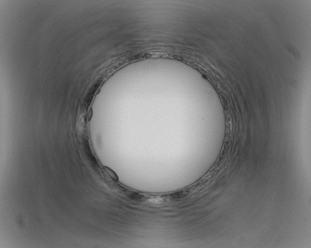 X0000115800611200911131024