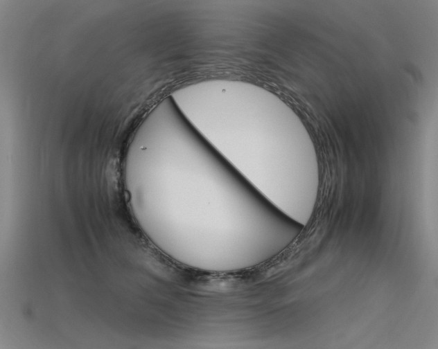 X0000115800612200911131023