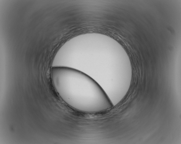 X0000115800613200911131023