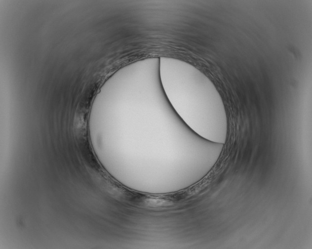 X0000115800614200911131023