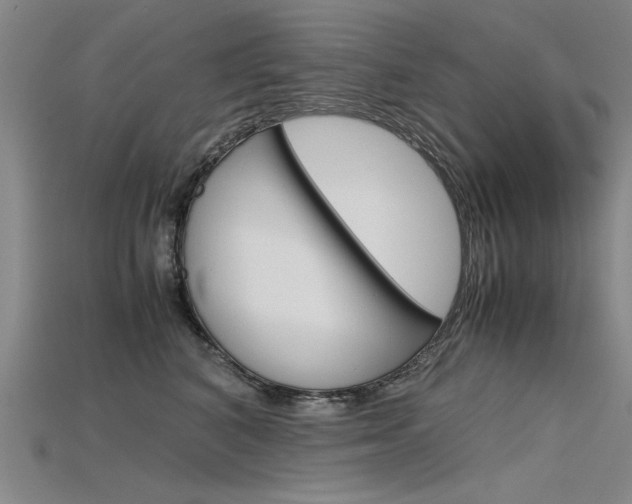 X0000115800616200911131023