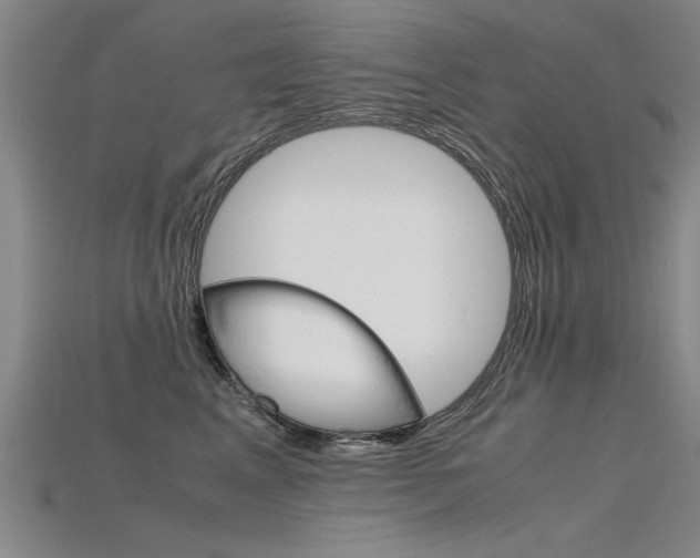 X0000115800617200911131023