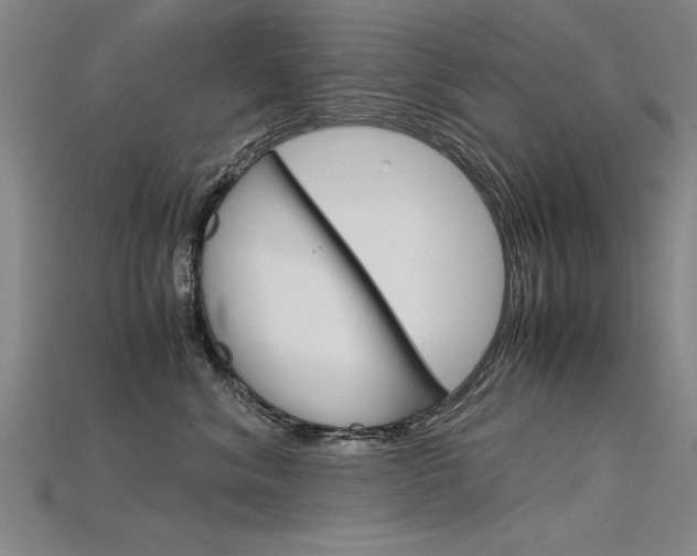 X0000115800620200911131023