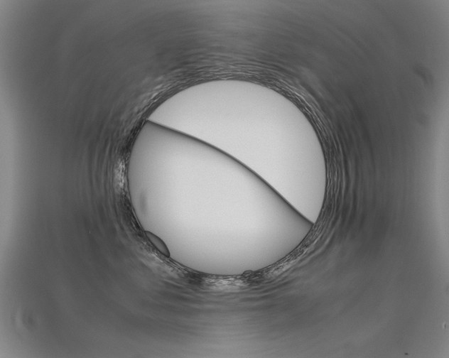 X0000115800621200911131023