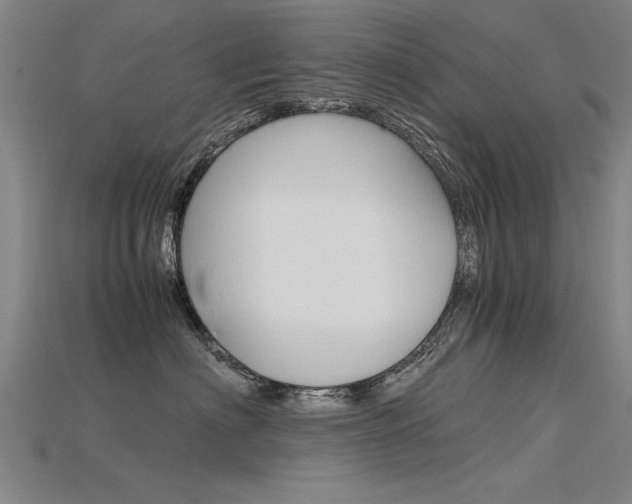 X0000115800622200911131023