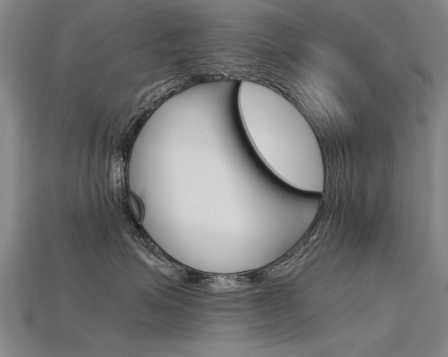 X0000115800623200911131023