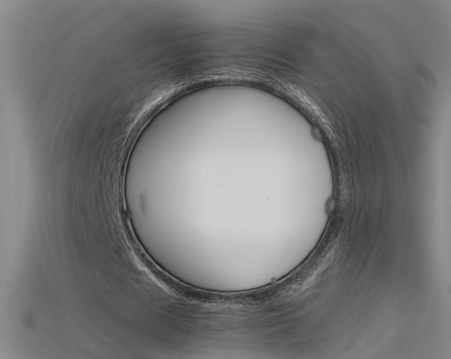 X0000115800625200911131023