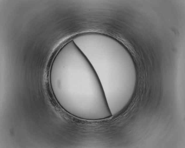 X0000115800628200911131023