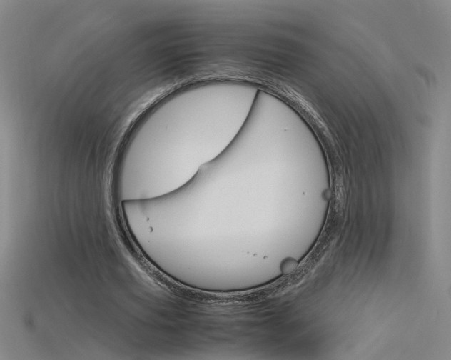 X0000115800629200911131023