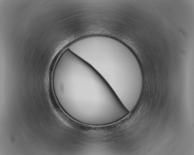 X0000115800630200911131023