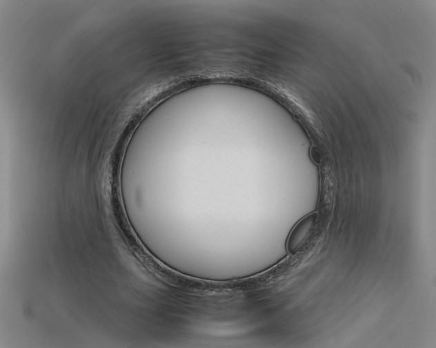 X0000115800631200911131023