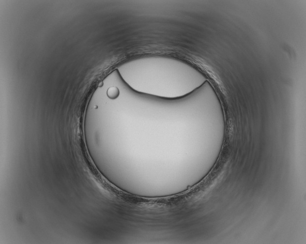 X0000115800633200911131023