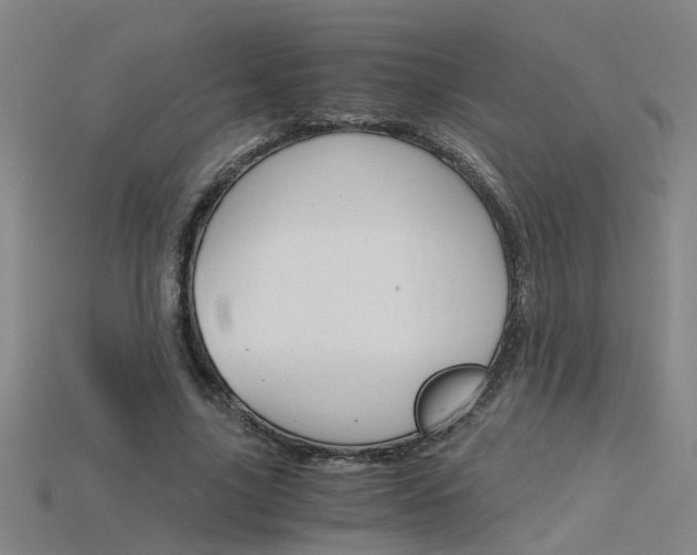 X0000115800635200911131023