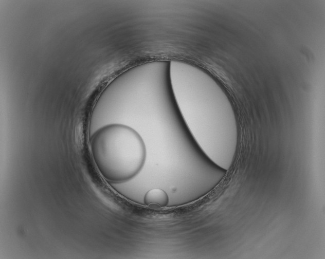 X0000115800638200911131023