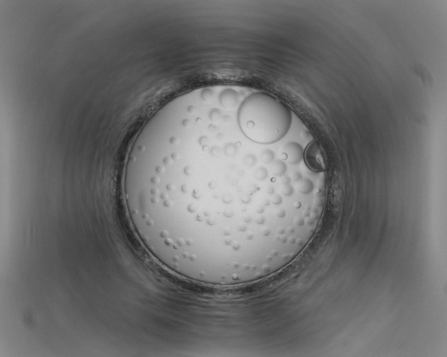 X0000115800639200911131023