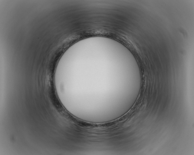 X0000115800643200911131023