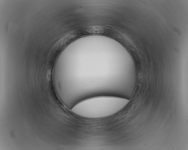 X0000115800652200911131023