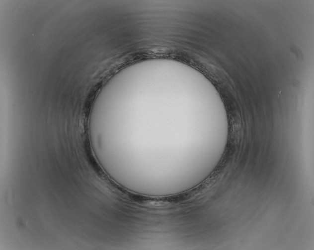 X0000115800654200911131023