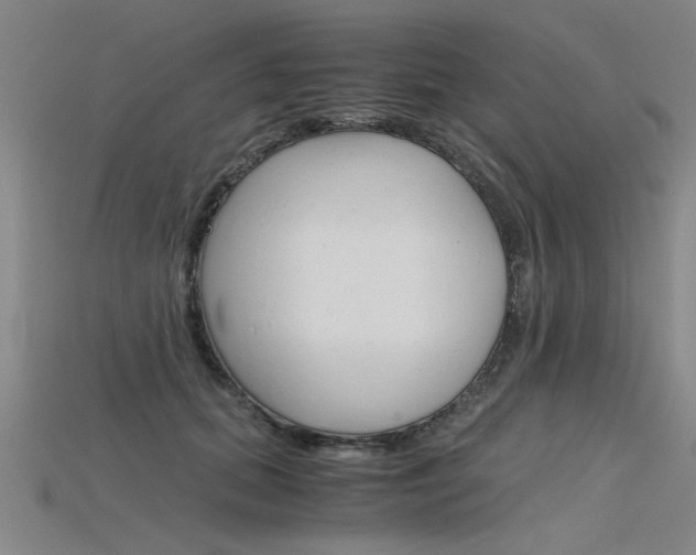 X0000115800655200911131023