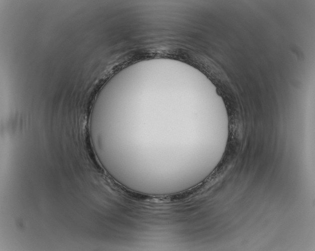 X0000115800660200911131023