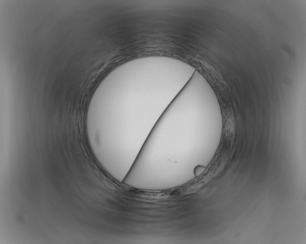 X0000115800661200911131023