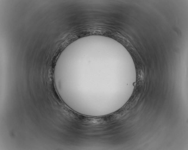 X0000115800663200911131023