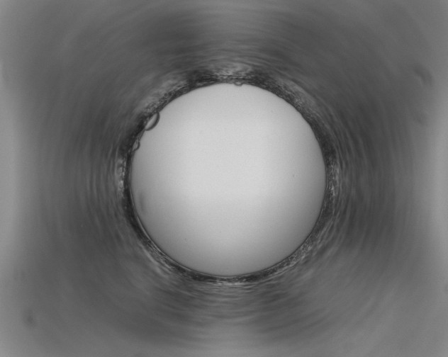 X0000115800664200911131023