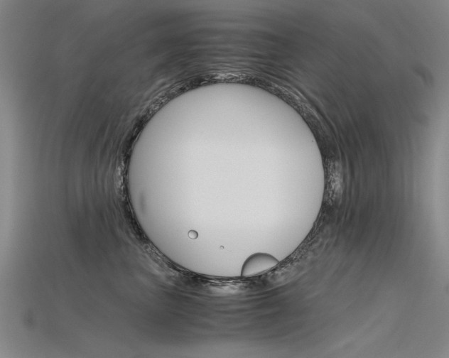X0000115800667200911131023