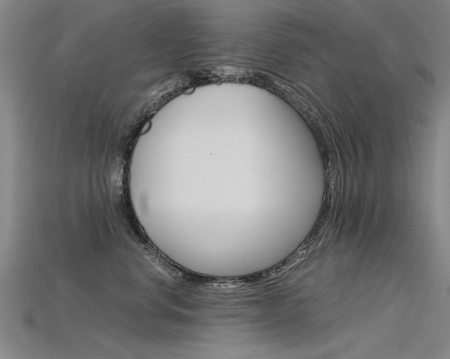 X0000115800668200911131023