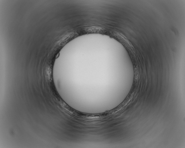 X0000115800669200911131023