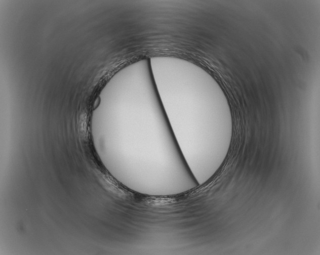 X0000115800670200911131023
