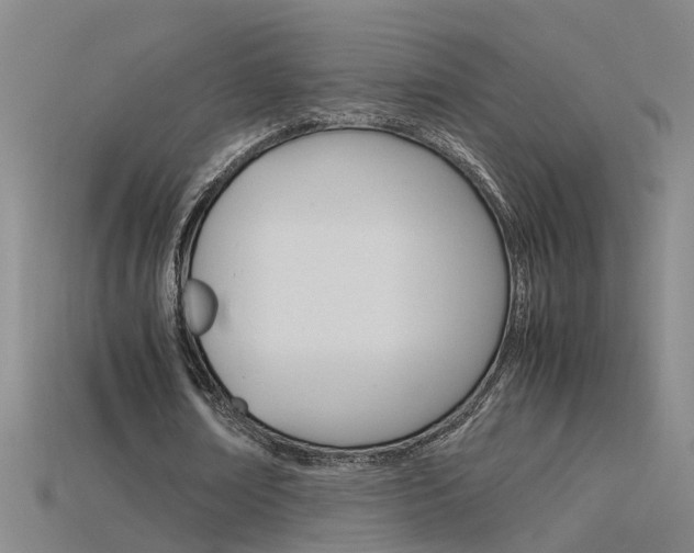 X0000115800674200911131023
