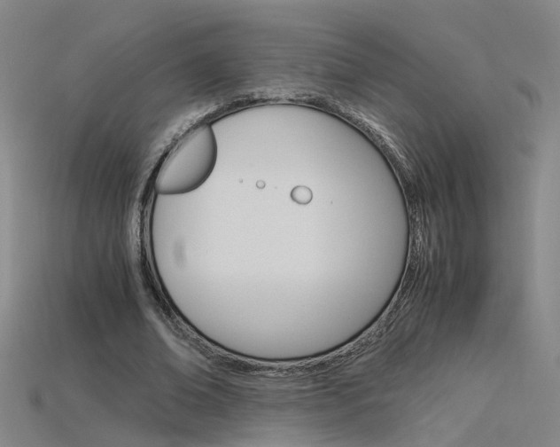 X0000115800678200911131023