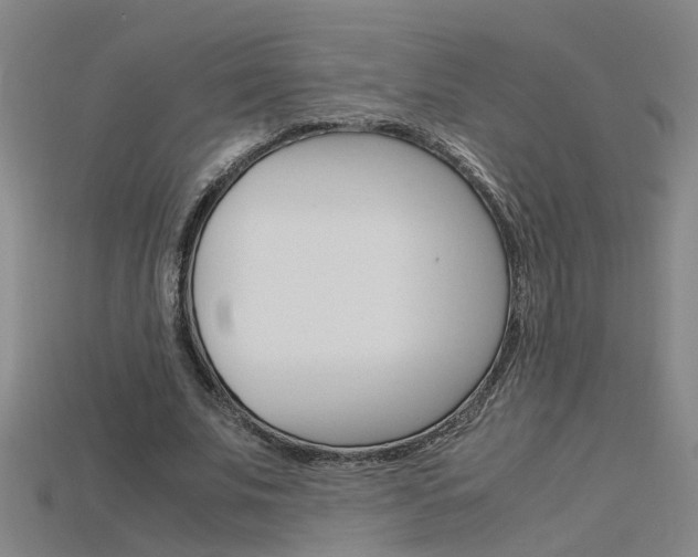 X0000115800679200911131023