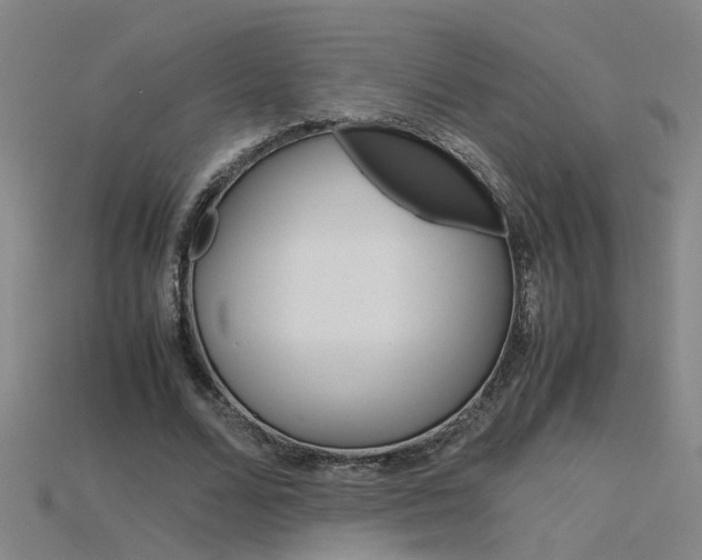 X0000115800680200911131023