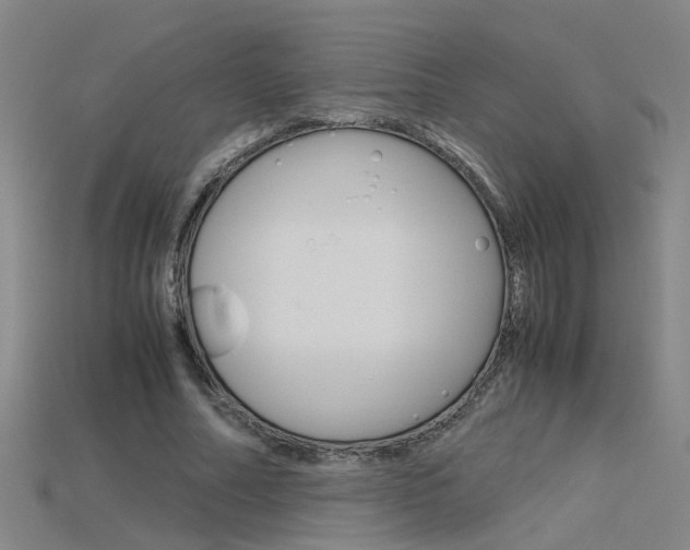 X0000115800682200911131023