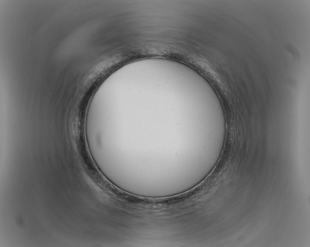X0000115800683200911131023