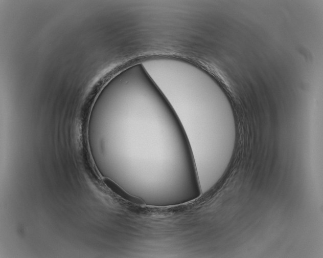 X0000115800684200911131023