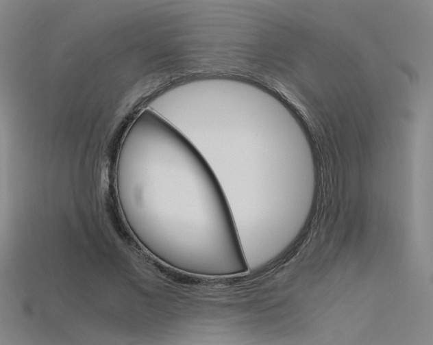 X0000115800685200911131023