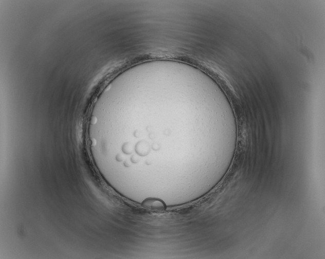X0000115800686200911131023
