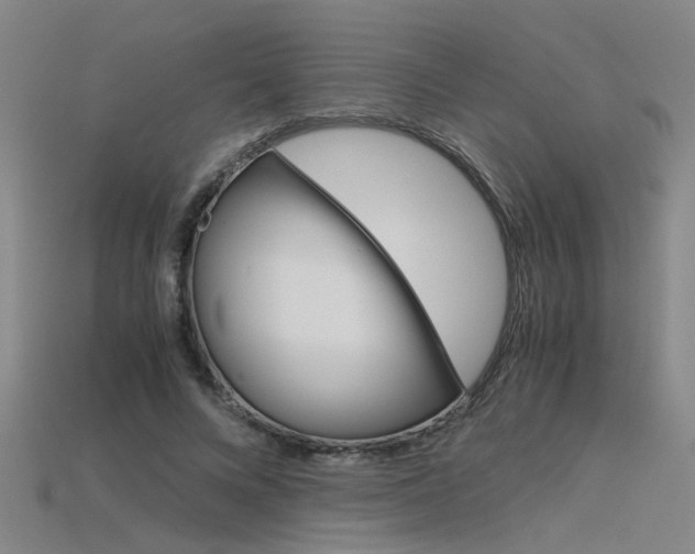 X0000115800688200911131023