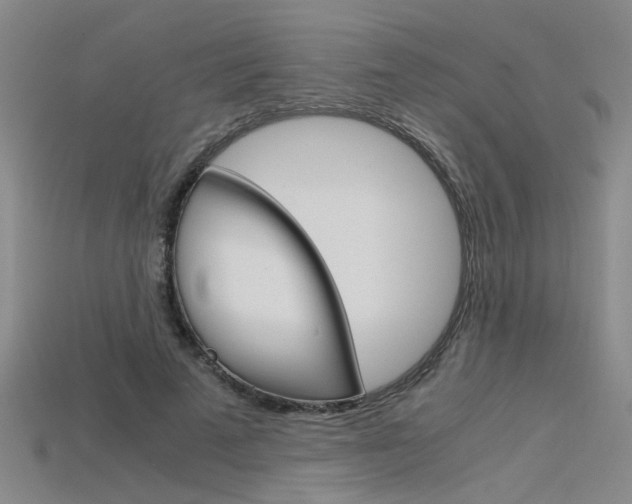 X0000115800689200911131023