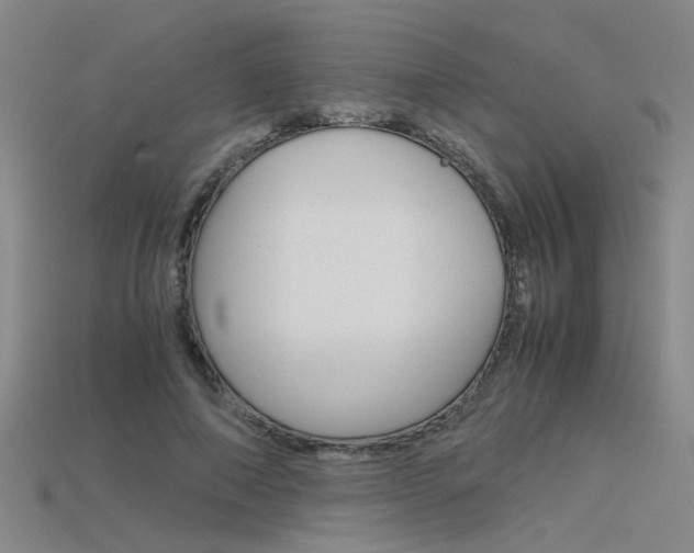 X0000115800690200911131022
